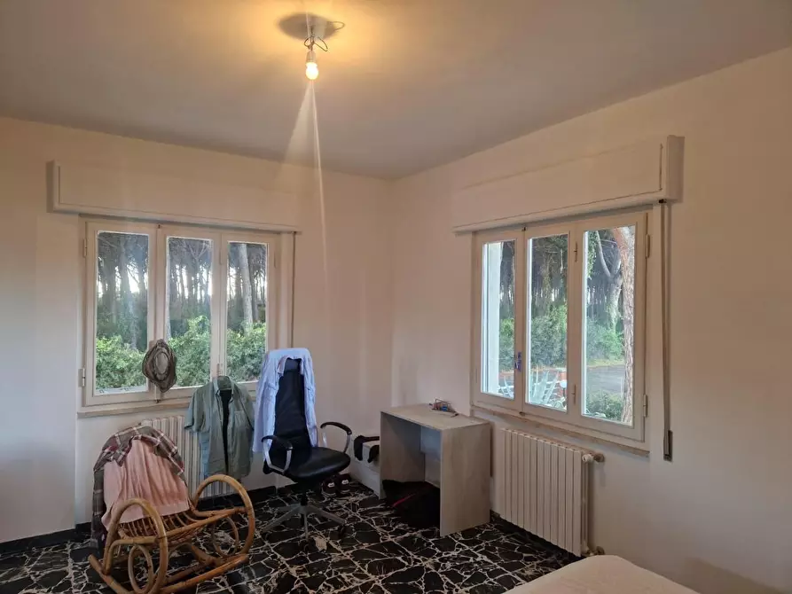 Immagine 15 di Villa in affitto  a Rosignano Marittimo
