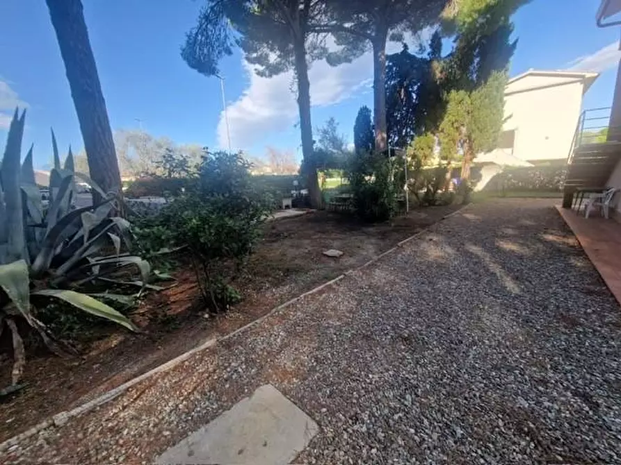 Immagine 27 di Villa in affitto  a Rosignano Marittimo