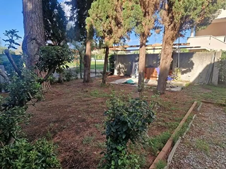 Immagine 20 di Villa in affitto  a Rosignano Marittimo
