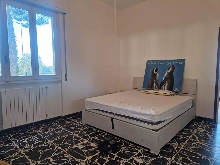 Immagine 28 di Villa in affitto  a Rosignano Marittimo