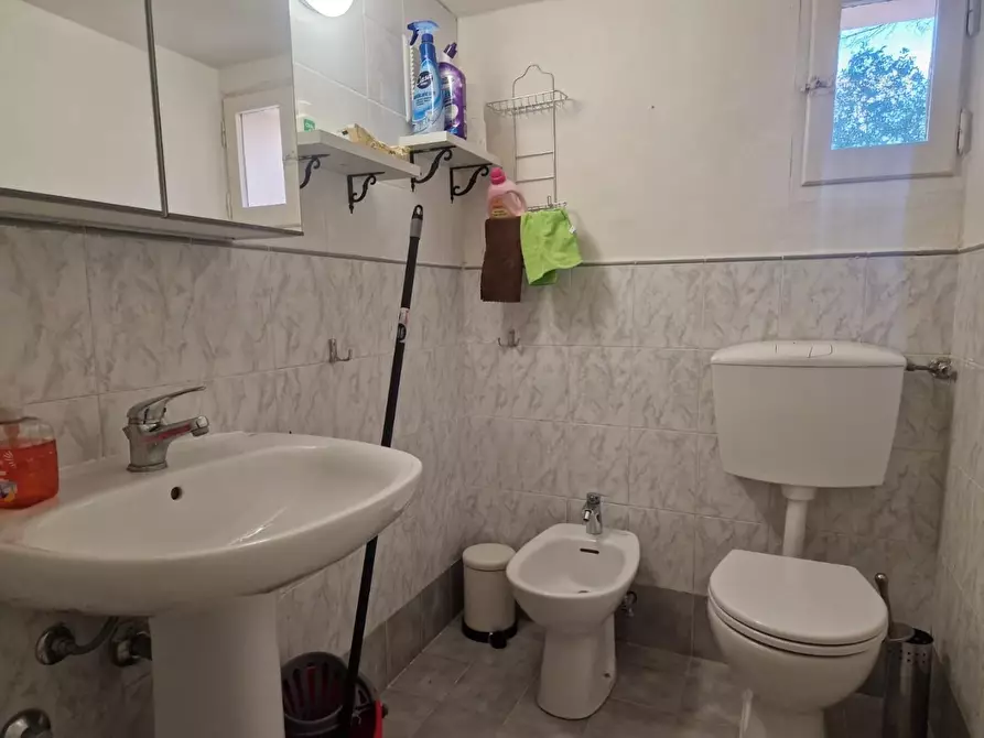 Immagine 13 di Villa in affitto  a Rosignano Marittimo