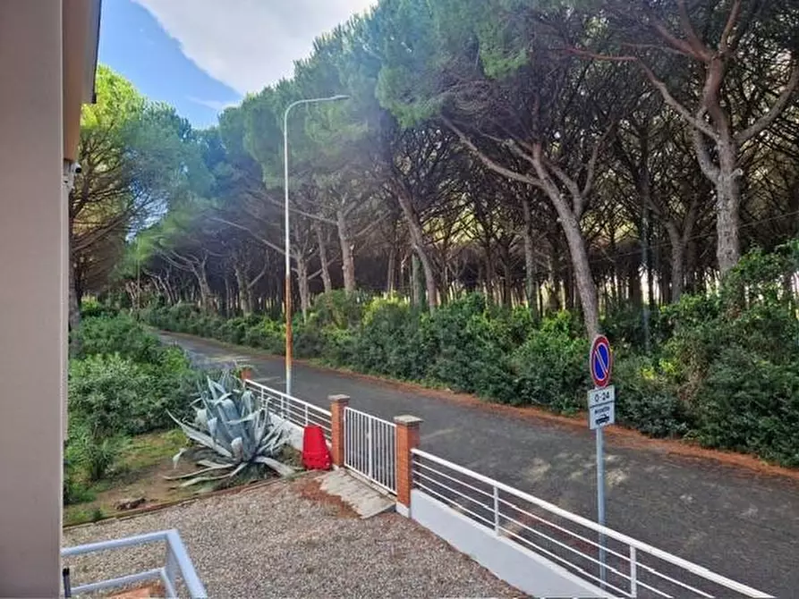 Immagine 11 di Villa in affitto  a Rosignano Marittimo