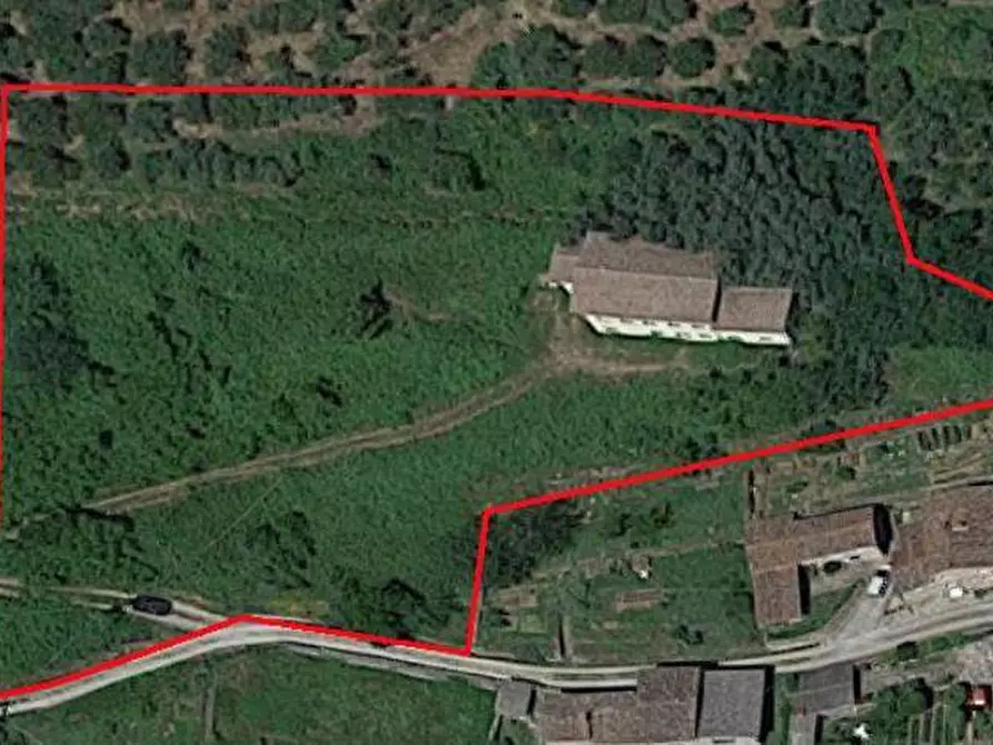 Immagine 11 di Casa colonica in vendita  a Capannori