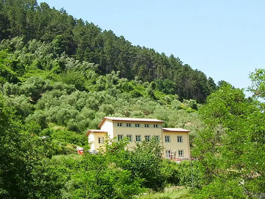Immagine 12 di Casa colonica in vendita  a Capannori