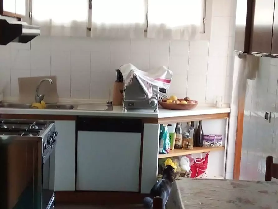 Immagine 9 di Appartamento in vendita  a Carrara