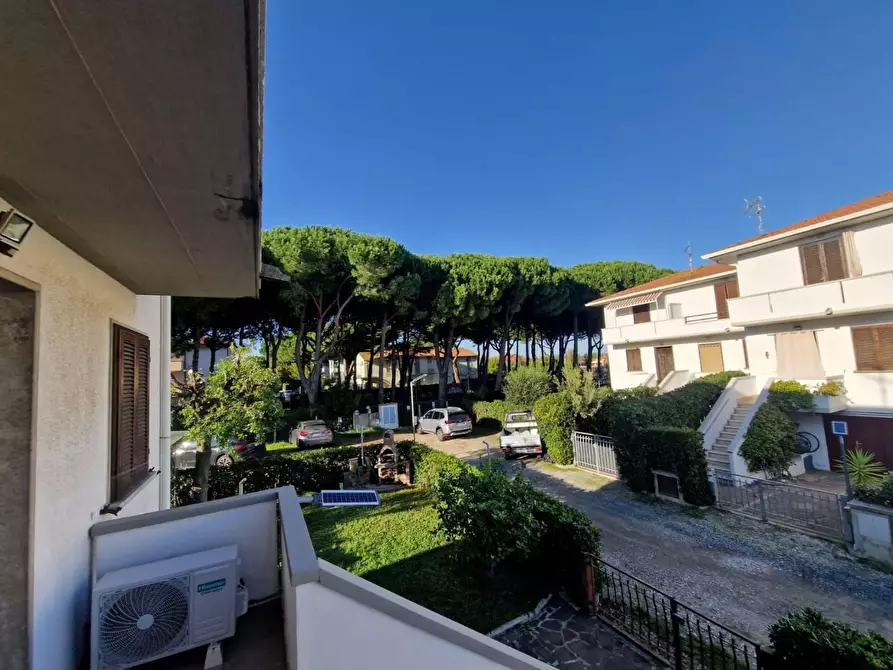 Immagine 5 di Appartamento in vendita  a Rosignano Marittimo