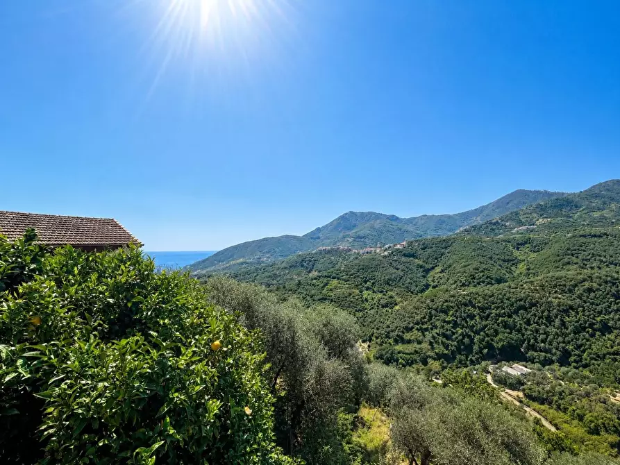Immagine 4 di Casa indipendente in vendita  a Levanto