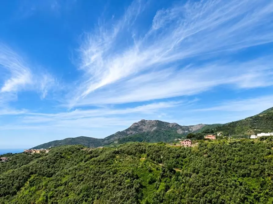 Immagine 3 di Casa indipendente in vendita  a Levanto