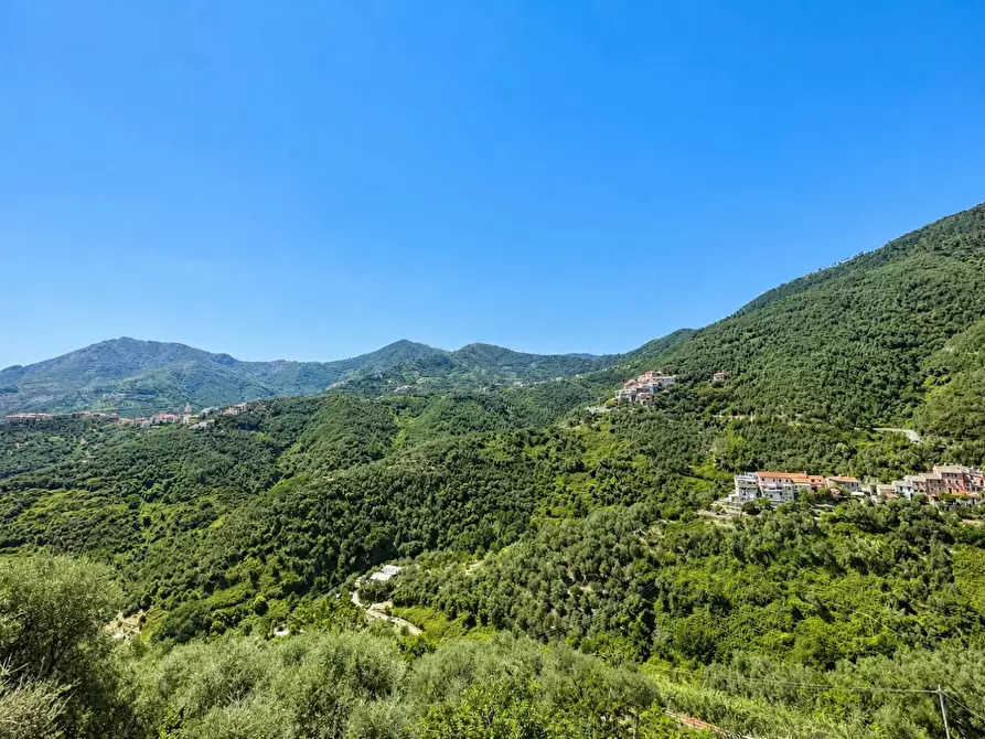 Immagine 31 di Casa indipendente in vendita  a Levanto