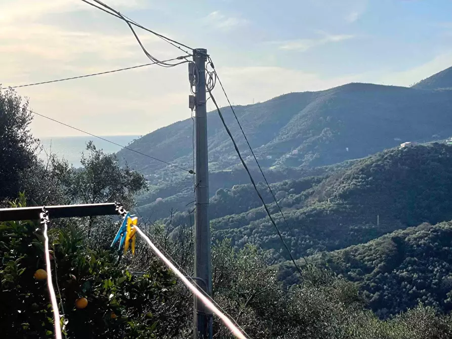 Immagine 11 di Casa indipendente in vendita  a Levanto