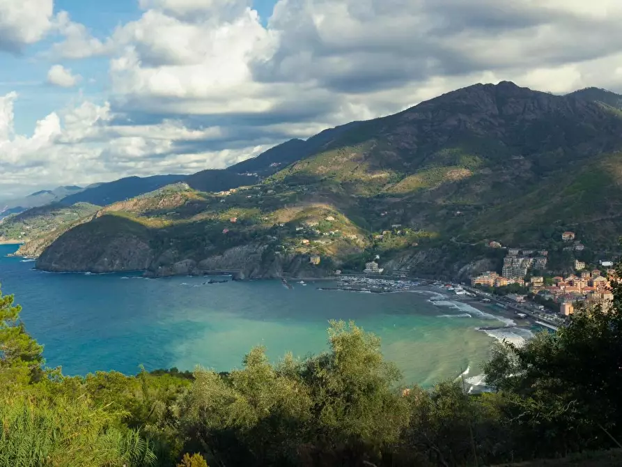 Immagine 2 di Casa indipendente in vendita  a Levanto