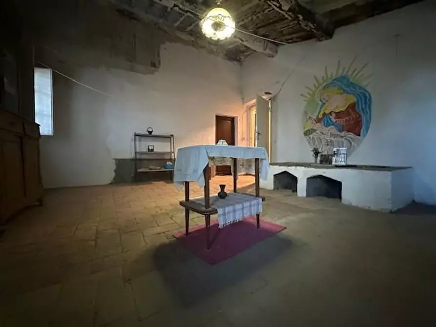 Immagine 28 di Terratetto in vendita  a Palaia