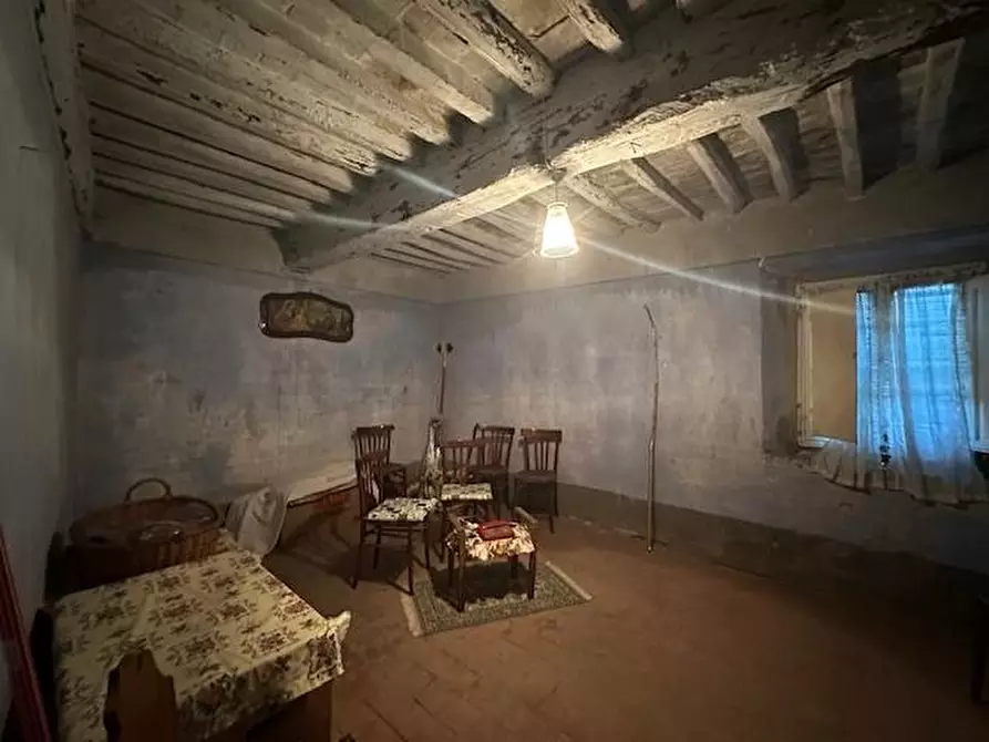 Immagine 30 di Terratetto in vendita  a Palaia