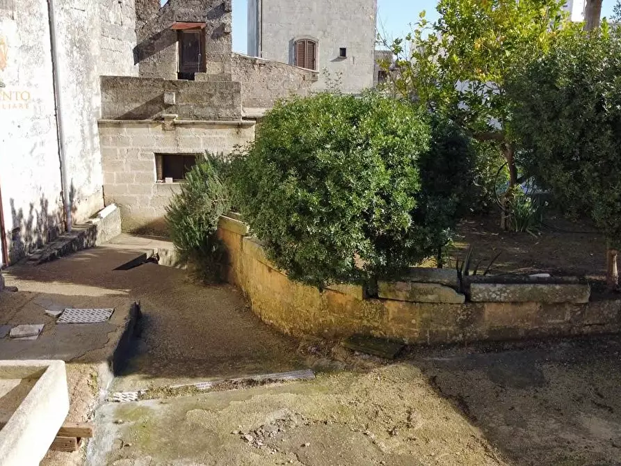 Immagine 3 di Rustico / casale in vendita  a Specchia