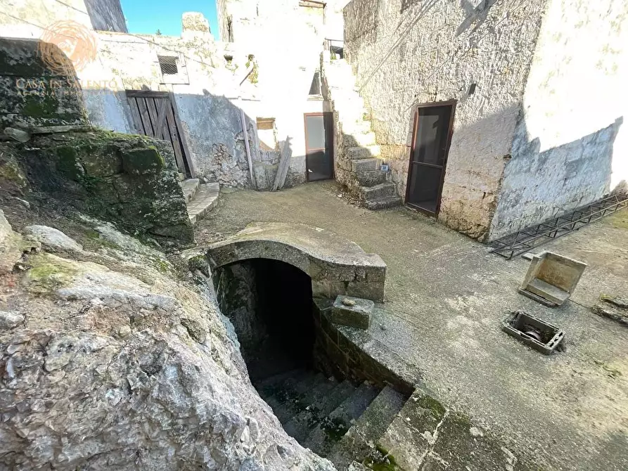 Immagine 54 di Rustico / casale in vendita  a Specchia