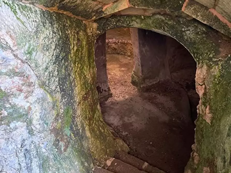 Immagine 52 di Rustico / casale in vendita  a Specchia