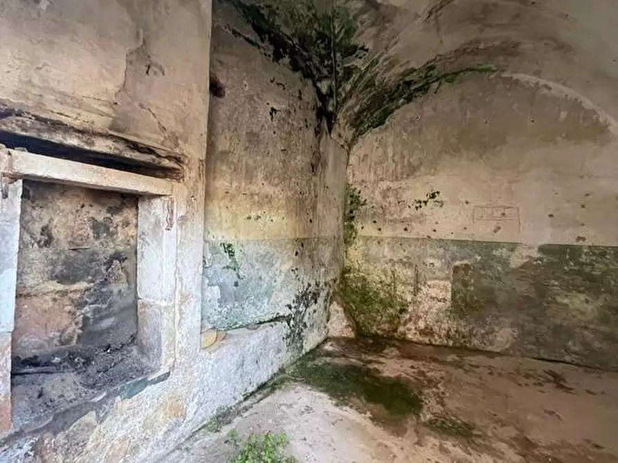 Immagine 48 di Rustico / casale in vendita  a Specchia