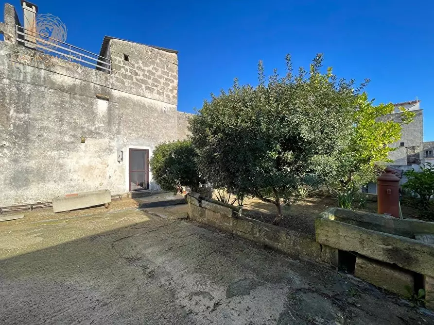 Immagine 17 di Rustico / casale in vendita  a Specchia