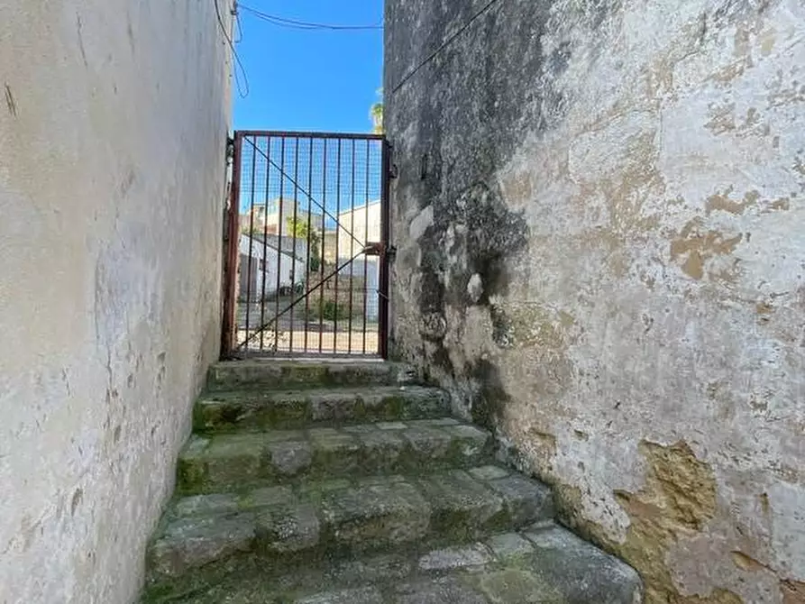 Immagine 51 di Rustico / casale in vendita  a Specchia