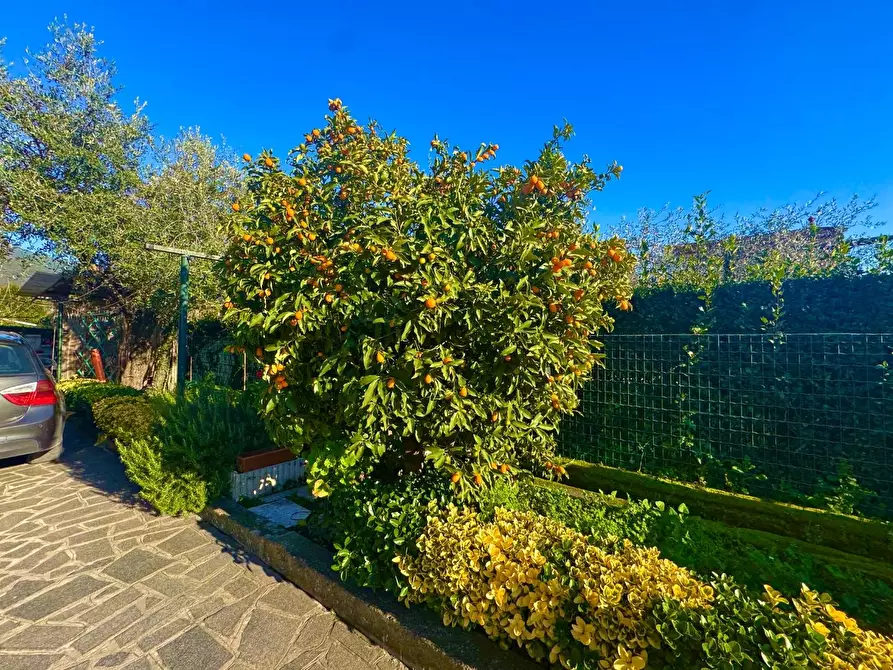 Immagine 5 di Casa bifamiliare in vendita  a Massa