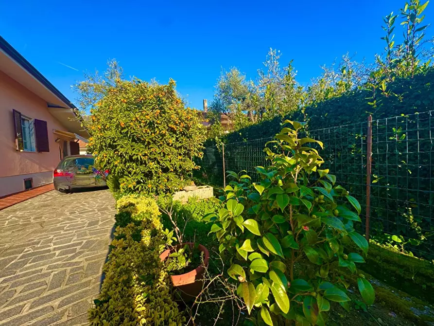 Immagine 7 di Casa bifamiliare in vendita  a Massa