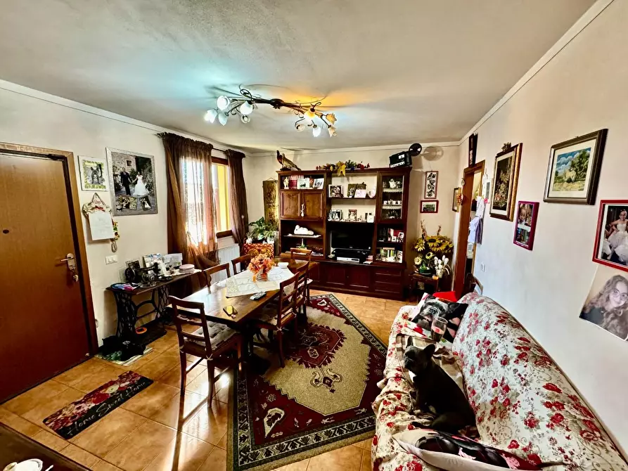 Immagine 7 di Appartamento in vendita  a Pontedera