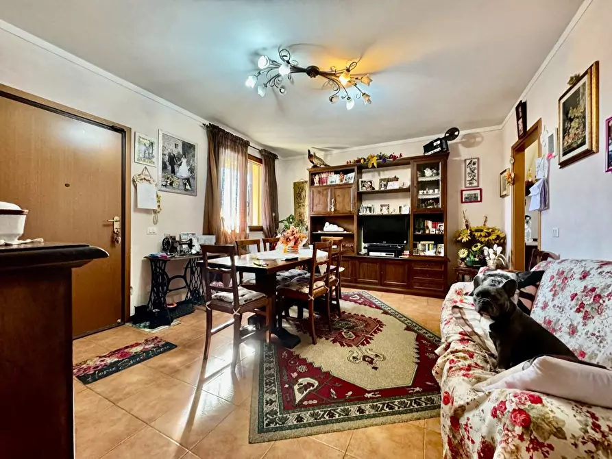 Immagine 6 di Appartamento in vendita  a Pontedera