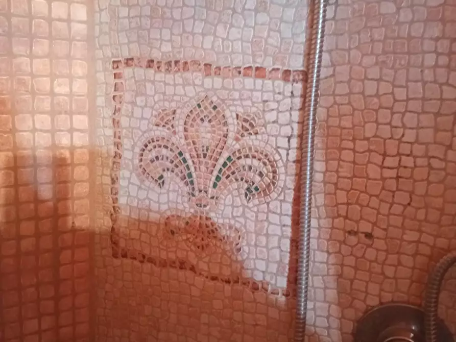 Immagine 19 di Appartamento in vendita  a Montopoli In Val D'arno