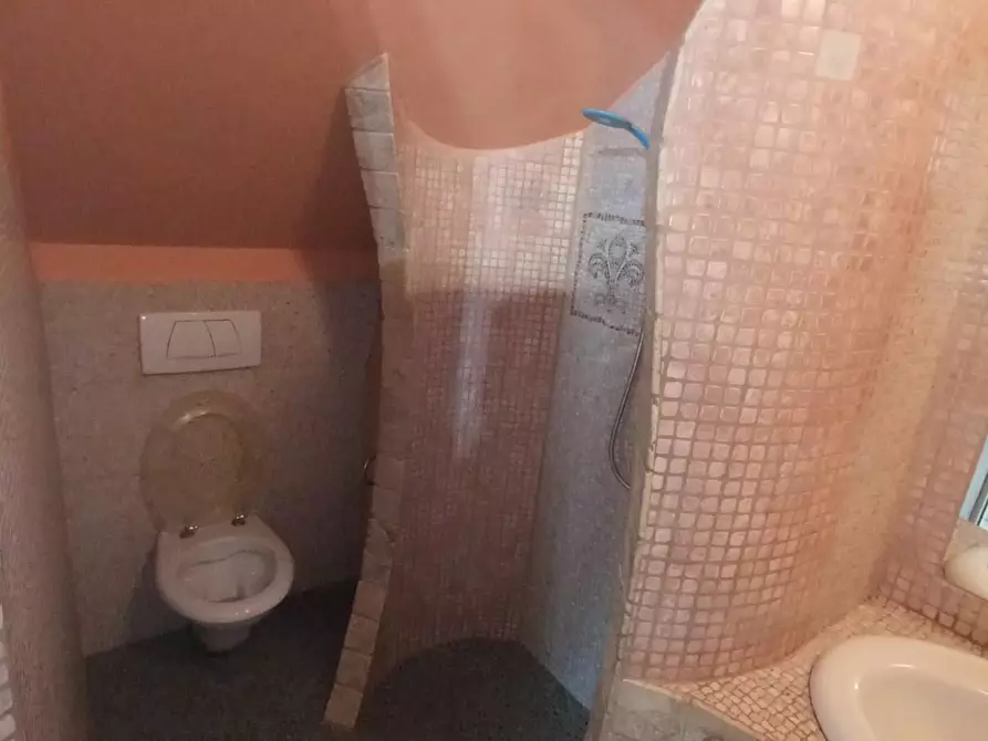 Immagine 18 di Appartamento in vendita  a Montopoli In Val D'arno