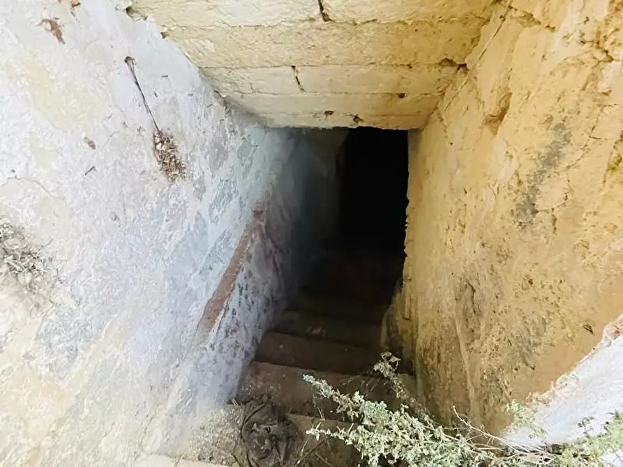 Immagine 7 di Appartamento in vendita  a Alessano