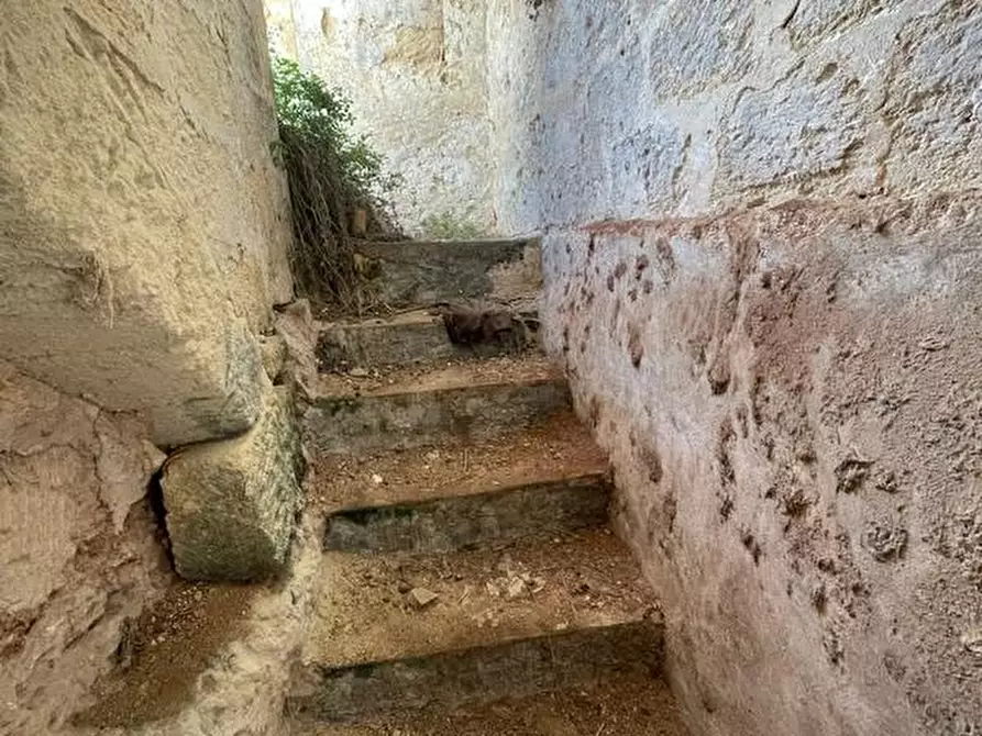 Immagine 17 di Appartamento in vendita  a Alessano