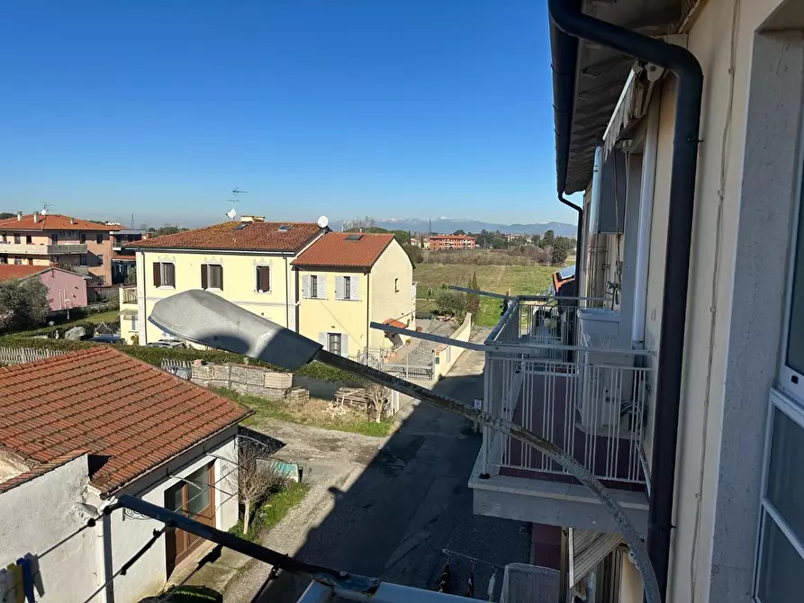 Immagine 9 di Appartamento in vendita  a Collesalvetti