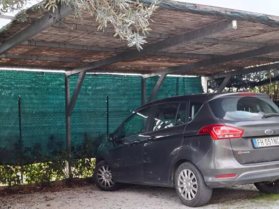 Immagine 5 di Terratetto in vendita  a Magliano In Toscana