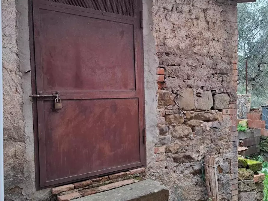 Immagine 19 di Terratetto in vendita  a Magliano In Toscana