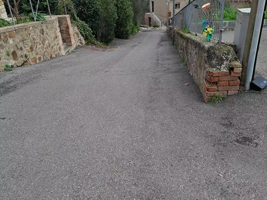 Immagine 7 di Terratetto in vendita  a Magliano In Toscana