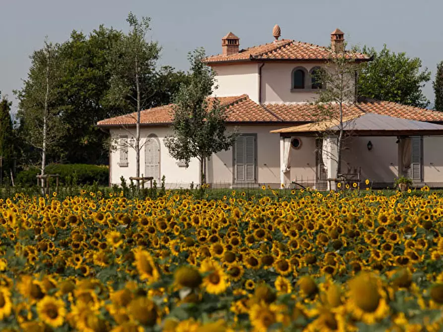 Immagine 1 di Villa in vendita  a Cortona