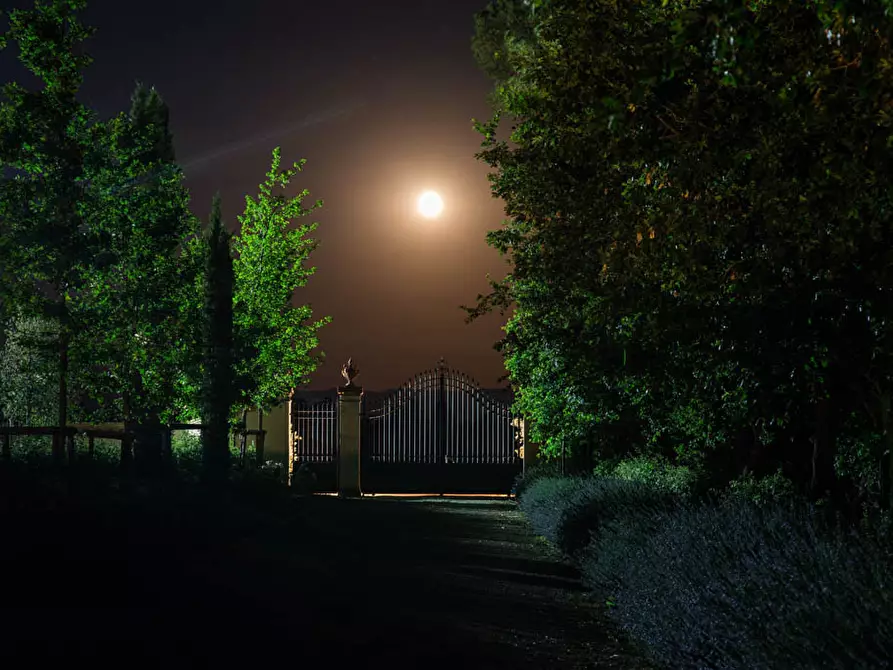 Immagine 17 di Villa in vendita  a Cortona