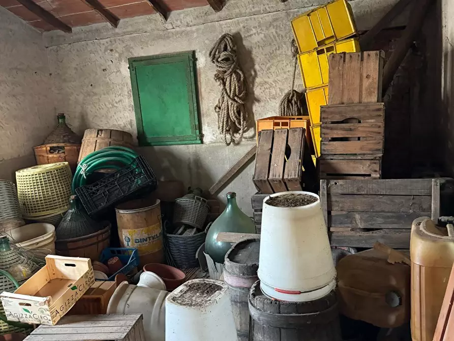 Immagine 18 di Deposito in vendita  a Capannori