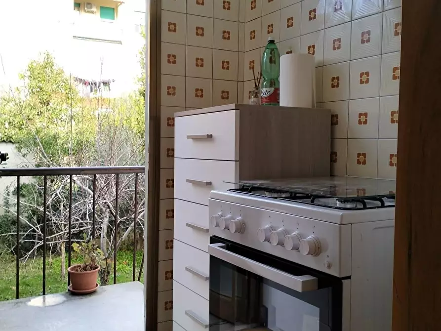 Immagine 15 di Appartamento in affitto  a Pisa