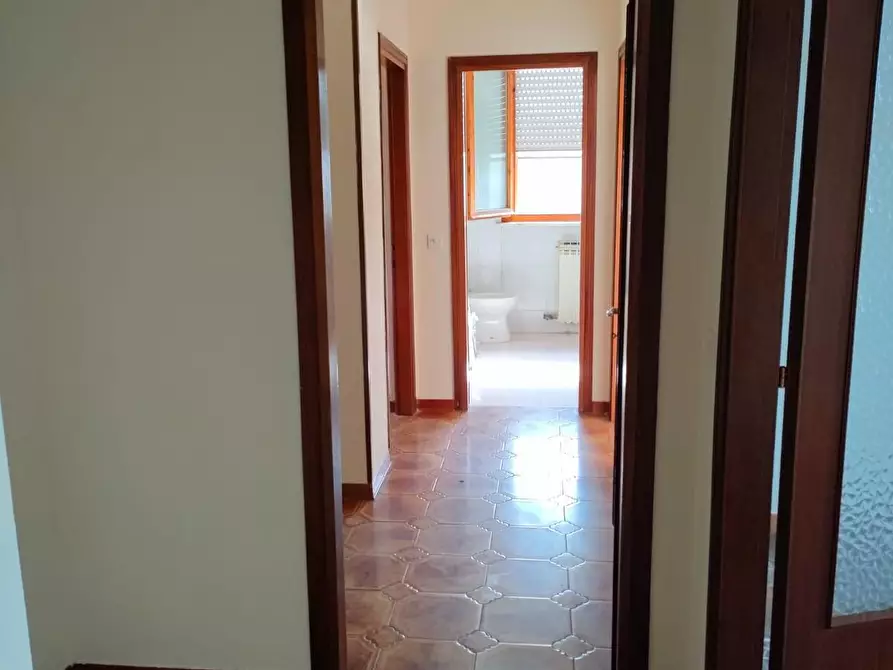Immagine 14 di Appartamento in vendita  a Collesalvetti