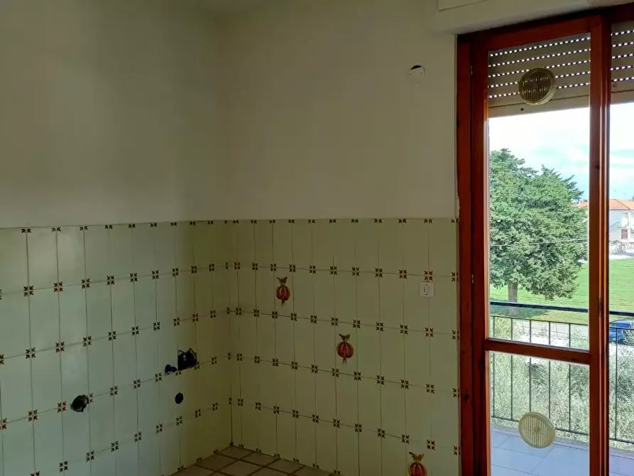 Immagine 3 di Appartamento in vendita  a Collesalvetti