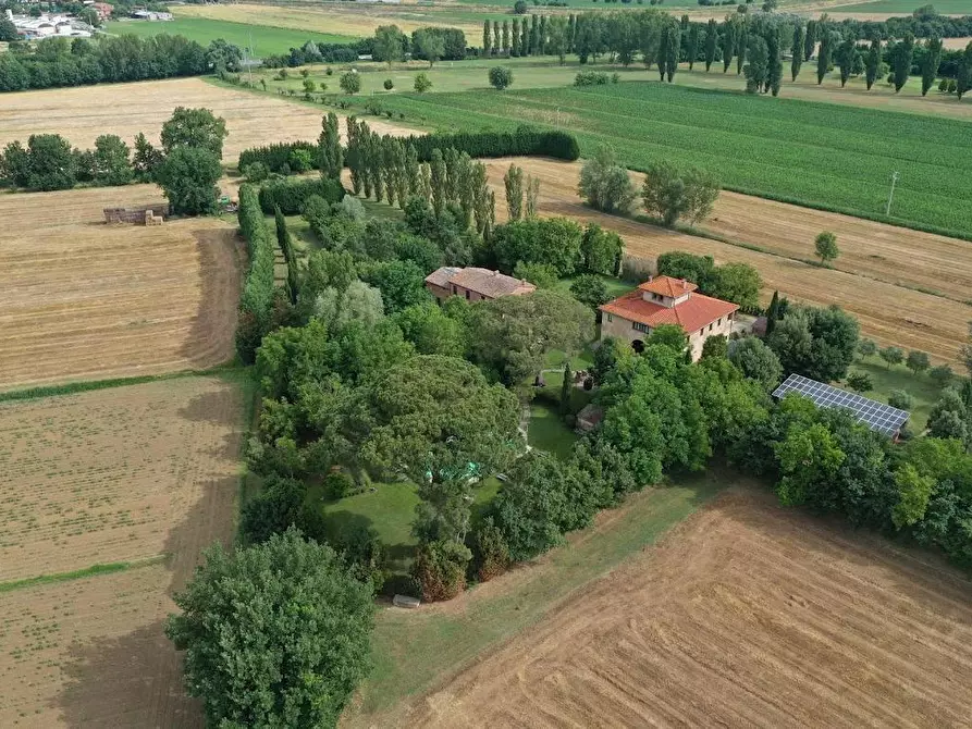 appartamento in vendita a Sinalunga
