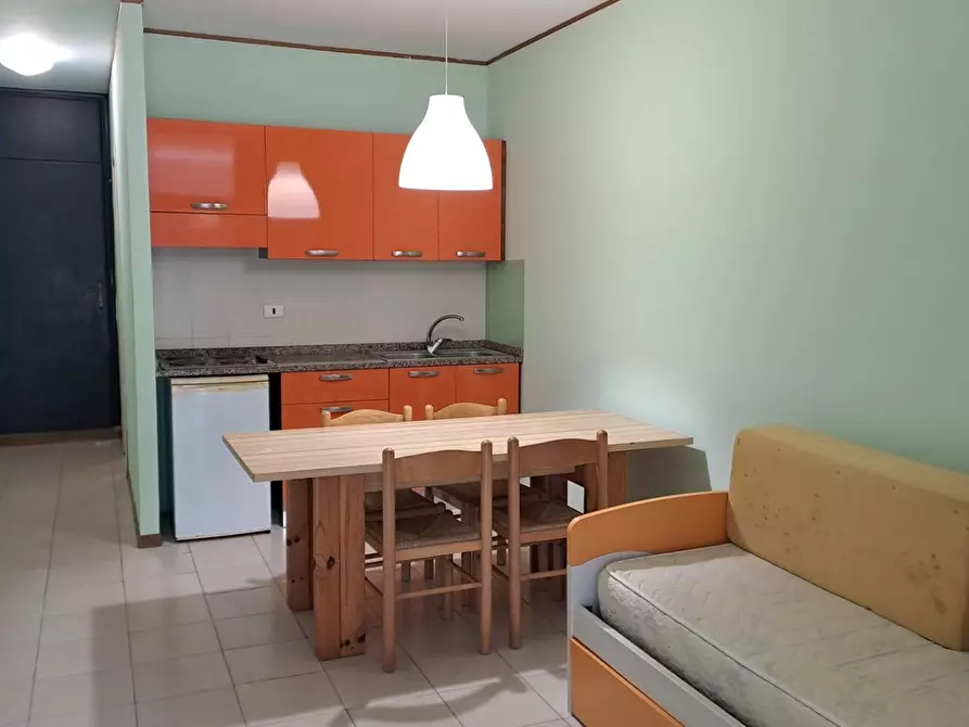 Immagine 11 di Appartamento in vendita  a Bibbona