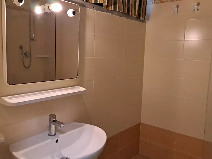 Immagine 9 di Appartamento in vendita  a Bibbona