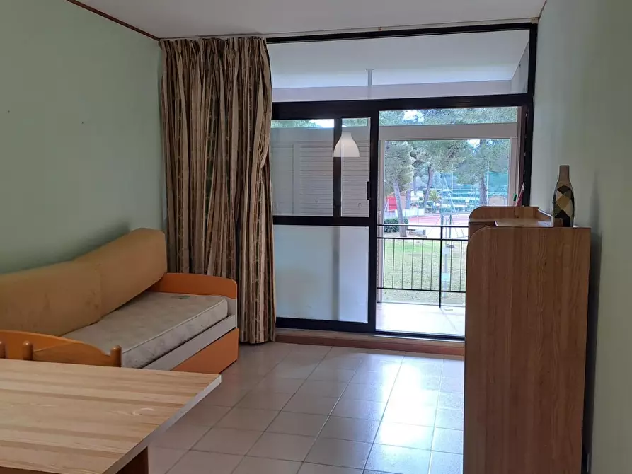 Immagine 5 di Appartamento in vendita  a Bibbona