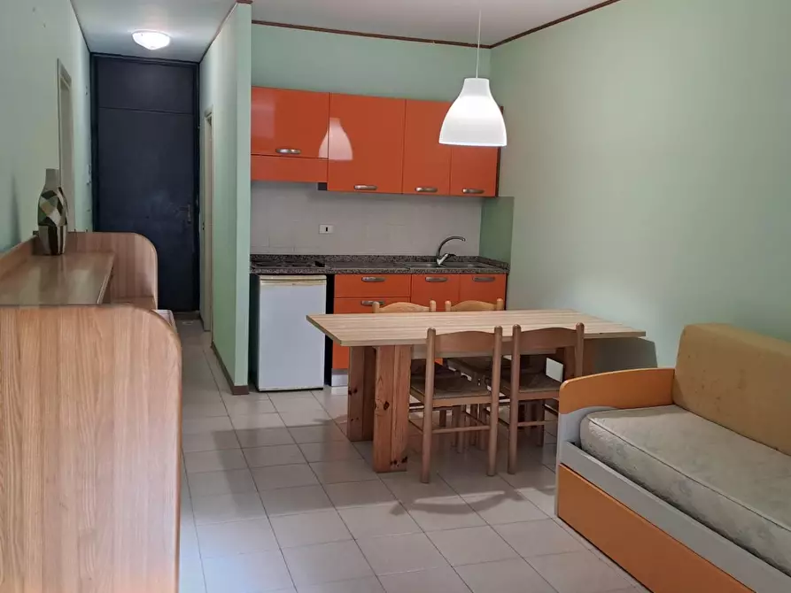 Immagine 13 di Appartamento in vendita  a Bibbona