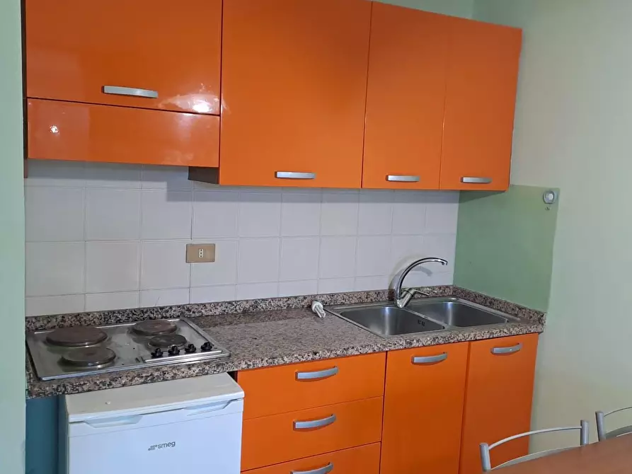 Immagine 5 di Appartamento in vendita  a Bibbona