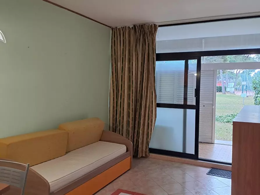 Immagine 3 di Appartamento in vendita  a Bibbona