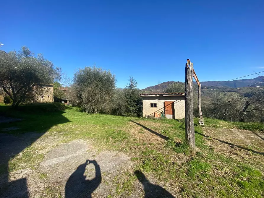 Immagine 8 di Rustico / casale in vendita  a Lucca