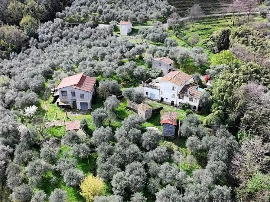 Immagine 1 di Rustico / casale in vendita  a Lucca